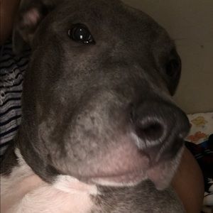 Meet your Posher, Lori